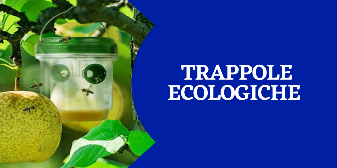 Trappole Ecologiche