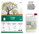 BOX 5LT INFYNITI GREEN LAVANDA